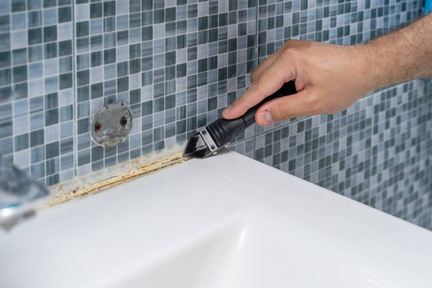 Best Basement Mold Remediation in Vienna, WV